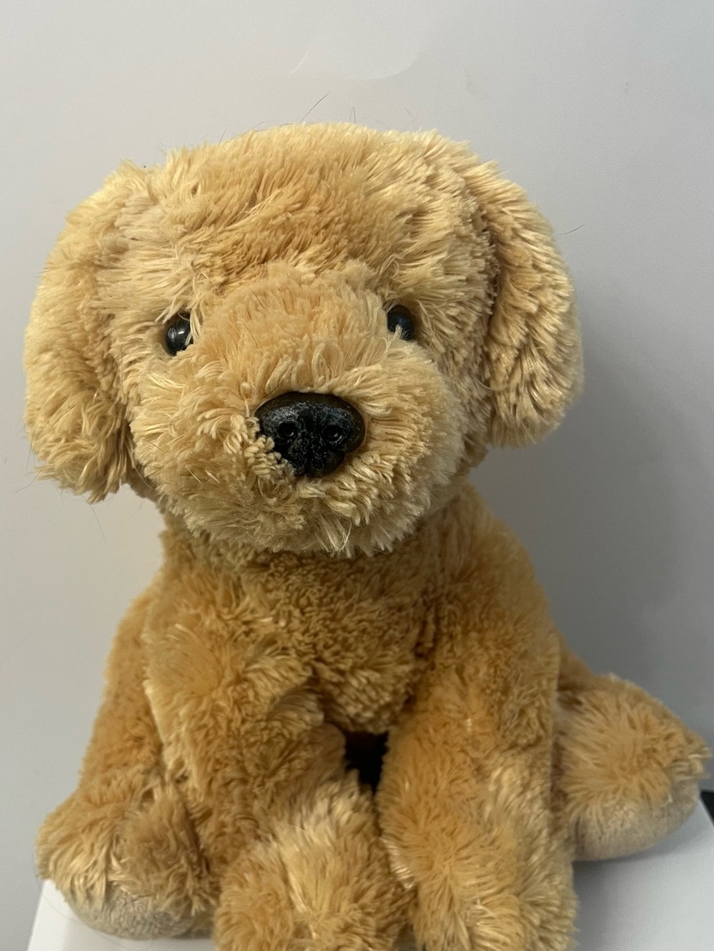 Aurora Plush Golden Retriever Puppy Stuffed Animal - teddy bear Soft cuddly dog